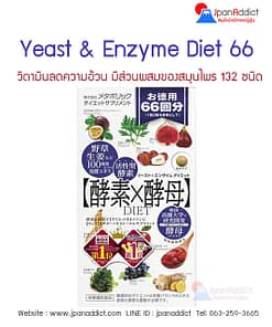 Yeast and Enzyme Diet