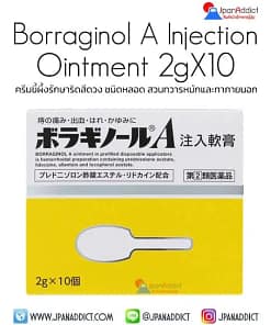 Borraginol A Injection Ointment 2gX10 ครีมขี้ผึ้งรักษาริดสีดวง