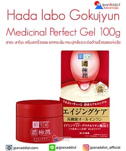 Hada labo Gokujyun Medicinal Perfect Gel 100g