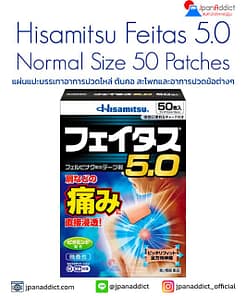Hisamitsu Feitas 5.0 Pain Relieving Patch Normal Size 50