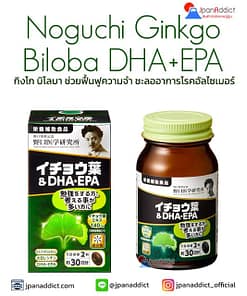 Noguchi Ginkgo Biloba DHA + EPA 60