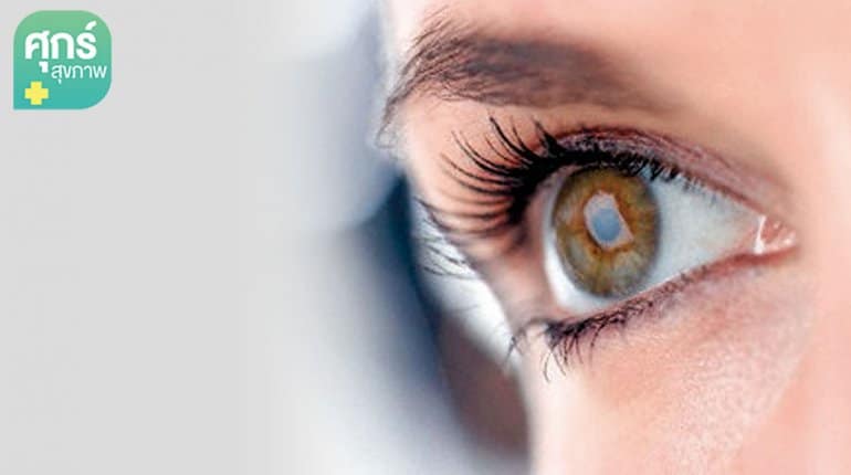 ยาหยอดยา